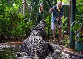 World's largest captive crocodile Cassius dies in Australia