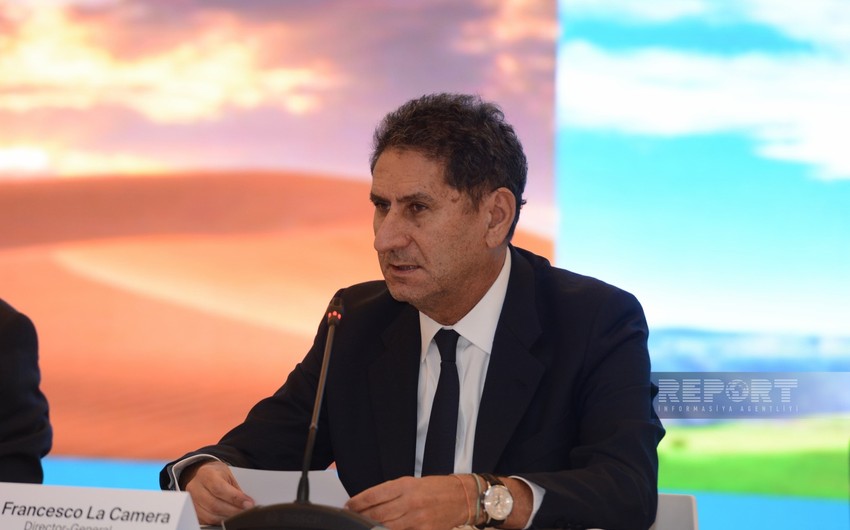 IRENA general director: Energy shift should be stepped up to achieve climate goals