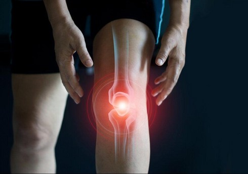 Ученые успешно испытали препарат для регенерации коленных суставов