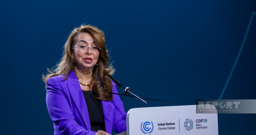 UN official: Law enforcement should be more involved in fighting climate change