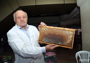 Baku plays host to traditional honey fair