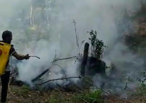 Fire spreads to forest from territory of Siyazan municipality