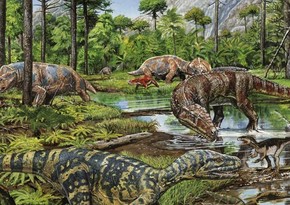 Ученые открыли еще один секрет эволюционного доминирования динозавров