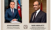 Azerbaijani, Egyptian FMs discuss cooperation