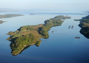 Латиноамериканские страны призвали отдать Фолклендские острова Аргентине