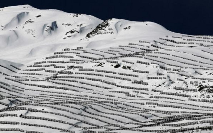 Пять чешских лыжников погибли при сходе лавины в Австрии