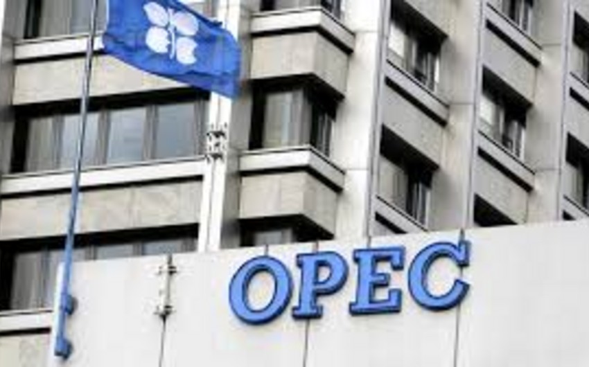 Baş katib: OPEC hasilat qərarını mayın 25-də verəcək