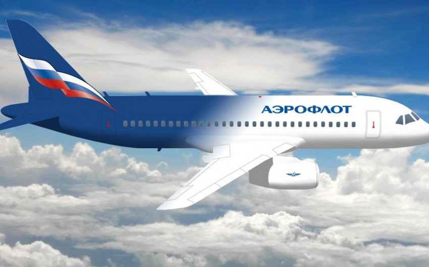 Аэрофлот отменил 14 рейсов из-за непогоды в Москве