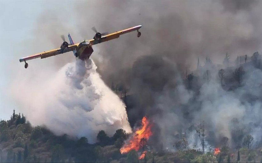 Türkiye pioneers use of drones in forest fire prevention