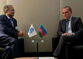 ECO pledges support for Azerbaijan's green transition initiatives