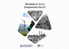 Будет снят документальный фильм Экоцид в Карабахе и Восточном Зангезуре