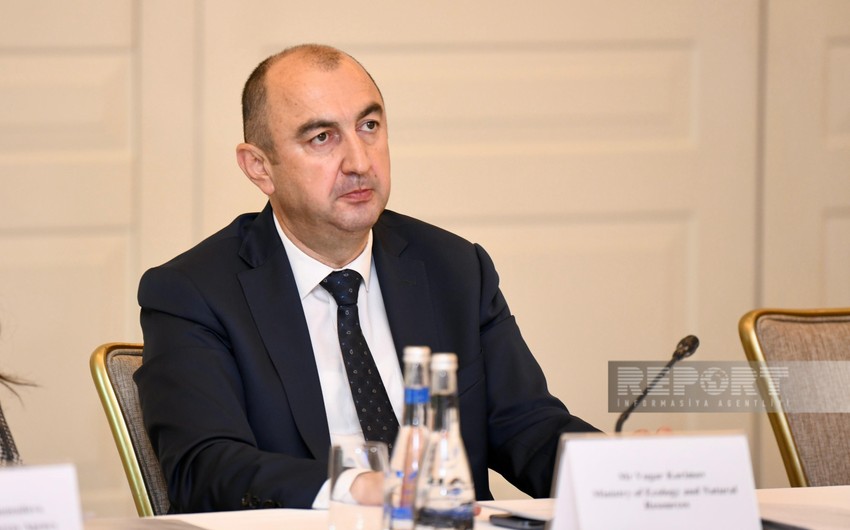 Deputy Minister: Efforts underway to prevent water losses in Azerbaijan