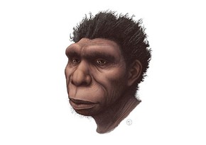 Paleoanthropologists find new human species 