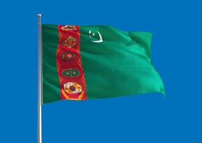 Туркменистан стал наблюдателем в Тюркском совете