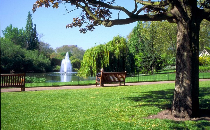 Bakıda yeni Yaşıl Park və Nəbatat Parkı salınacaq