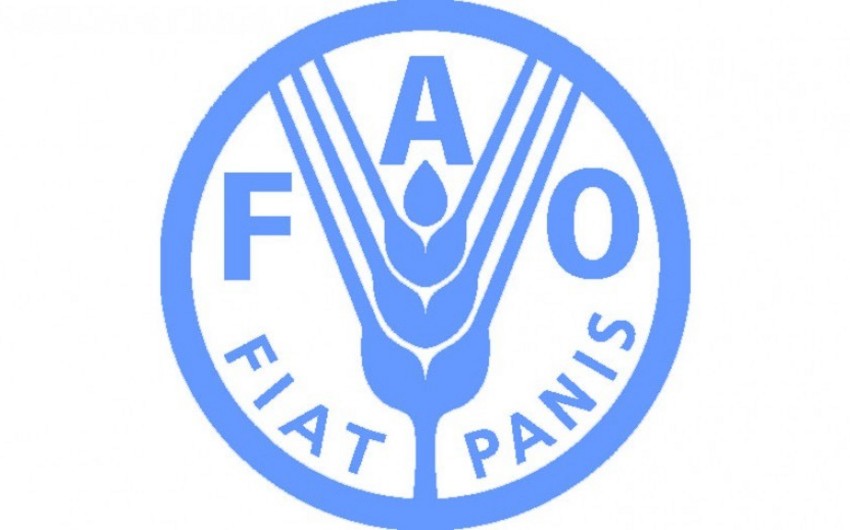 FAO-nun Azərbaycan nümayəndəliyi saxta əməliyyatlarla bağlı xəbərdarlıq edib