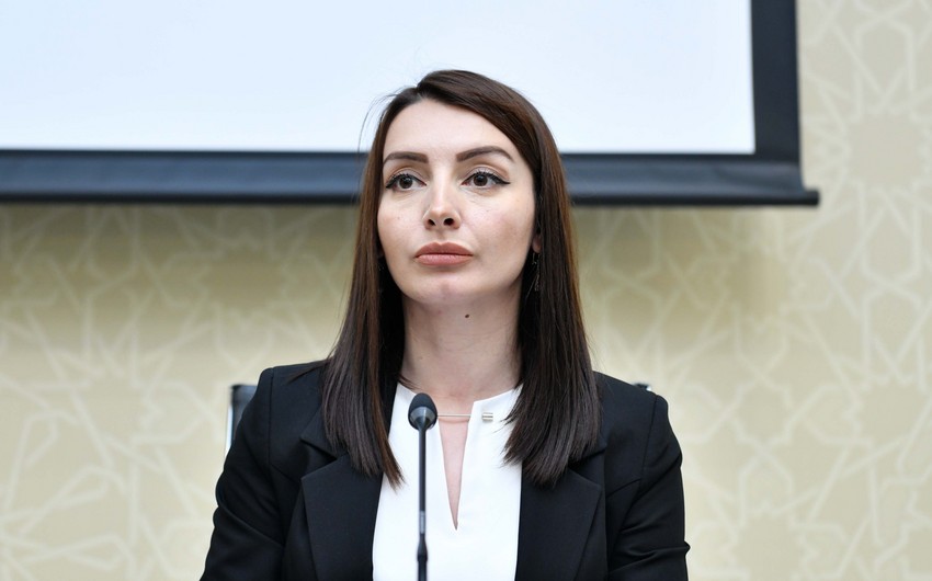 Лейла Абдуллаева прокомментировала высказывание главы МИД Армении