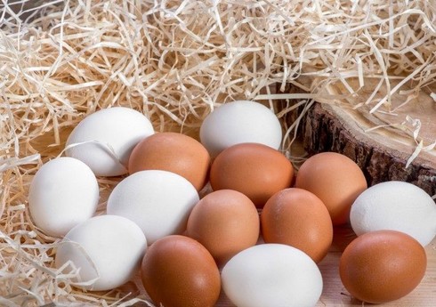 Председатель Ассоциации: Производители яиц несут серьезные убытки
