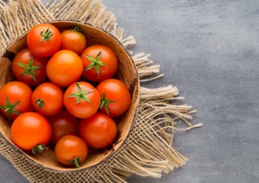 Avropalılar Azərbaycan pomidorlarını almağa hazırdır