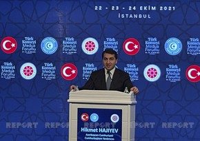 Assistant to Azerbaijani President speaks about international disinformation campaigns against Turkic world