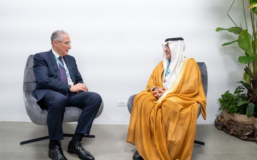 COP29 president, Saudi National Center for Wildlife CEO mull water security