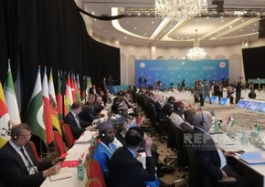 OIC countries discuss fight against disinformation and Islamophobia in Istanbul