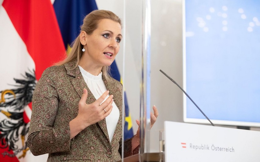 Министр труда Австрии подала в отставку из-за обвинений в плагиате