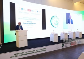 Baku hosts int’l conference dedicated to Green World Solidarity Year