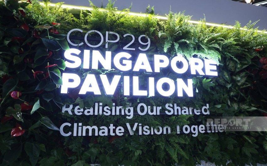 Singapore Pavilion established at COP29