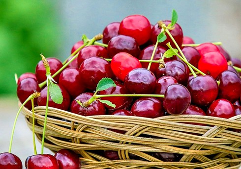 Азербайджан начал поставки вишни и черешни еще из одной страны