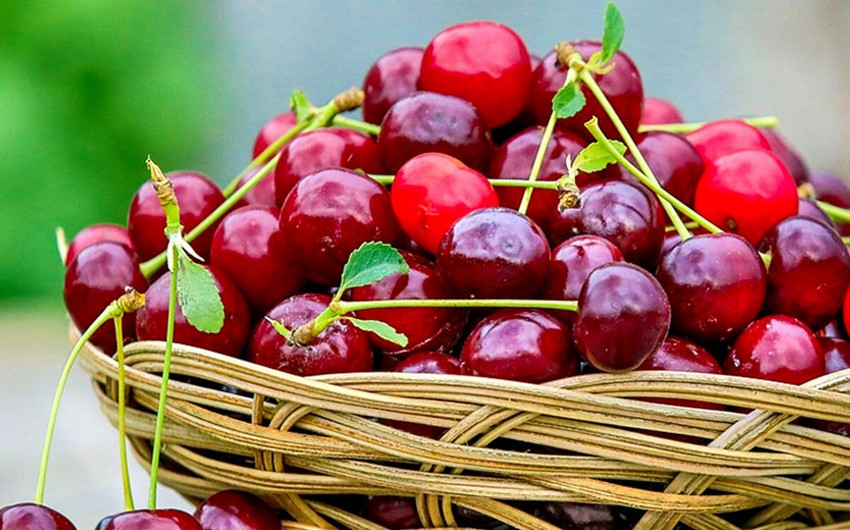 Азербайджан увеличил экспорт вишни и черешни в Беларусь в 65 раз