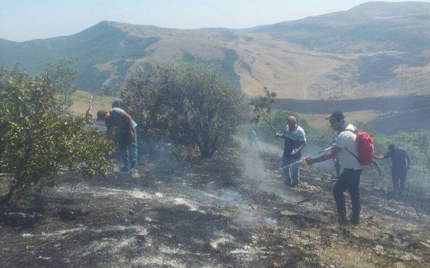 Масштабы пожара в заповеднике Гызылагадж увеличились в три раза
