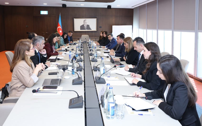 Azerbaijan and ADB mull issues of cooperation