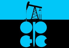 ОПЕК понизила прогноз по добыче нефти вне организации в 2023 году