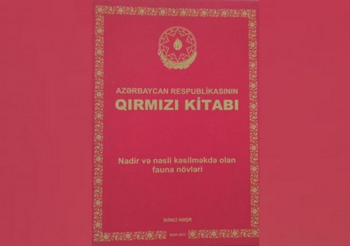 Подготовлено третье издание Красной книги