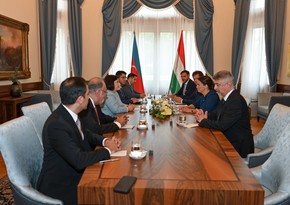 Спикер Милли Меджлиса встретилась с президентом Венгрии