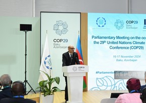 Саймон Стил: Прогресс по климатическому финансированию важен как на COP29, так и саммите G20