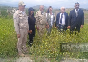 “Sülhün Kökləri” təşkilatının təsisçisi azad edilmiş ərazilərdə səfərdədir