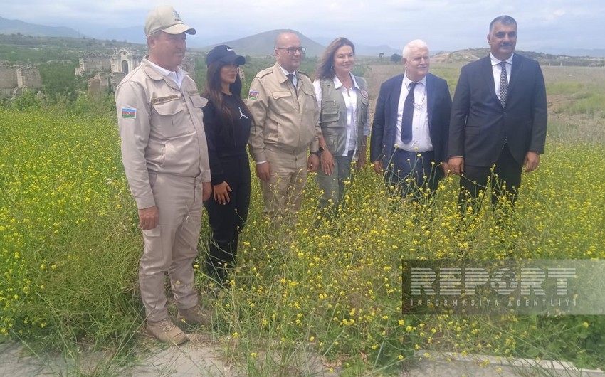 “Sülhün Kökləri” təşkilatının təsisçisi azad edilmiş ərazilərdə səfərdədir