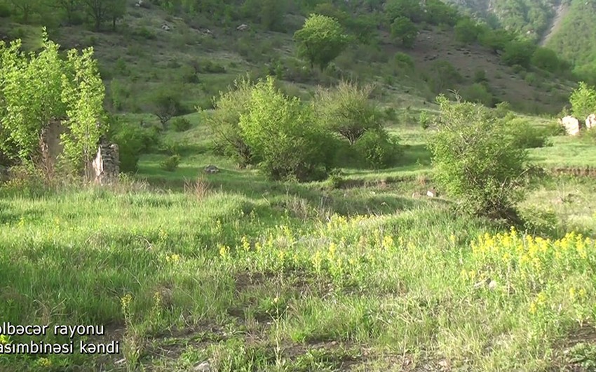 Видеокадры из села Гасымбинеси Кельбаджарского района