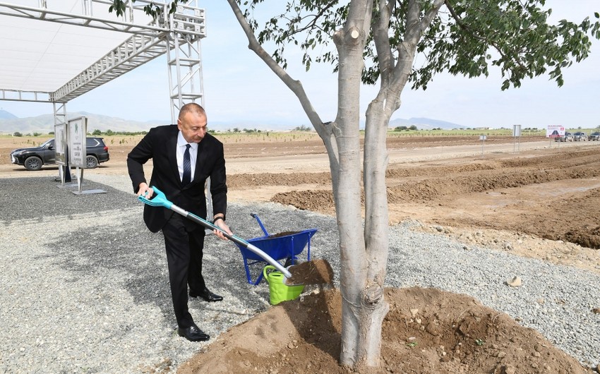 President Ilham Aliyev plants tree in Aghdam city forest park