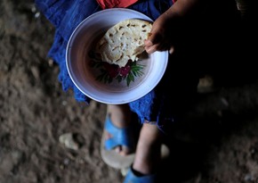 ООН: В 2023 году кризис продовольствия затронул 13,8 млн человек в Латинской Америке