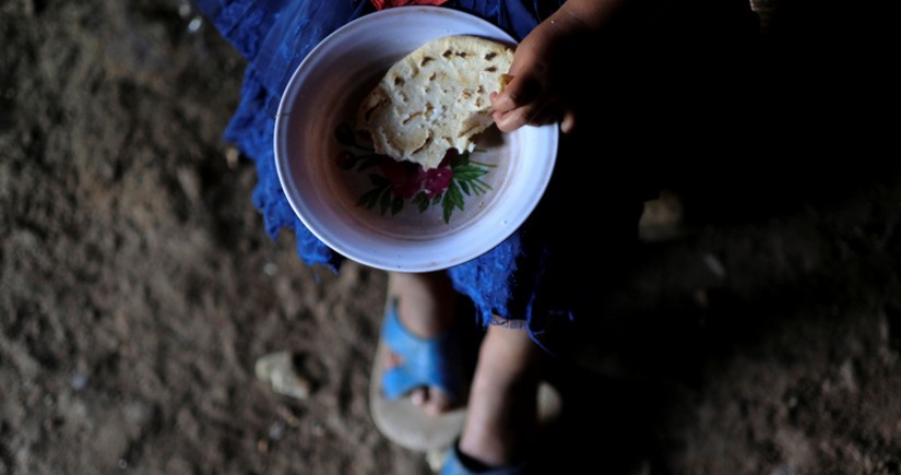 ООН: В 2023 году кризис продовольствия затронул 13,8 млн человек в Латинской Америке