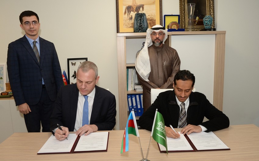 Azerbaijan Tourism Board to cooperate with Saudi Arabian airline