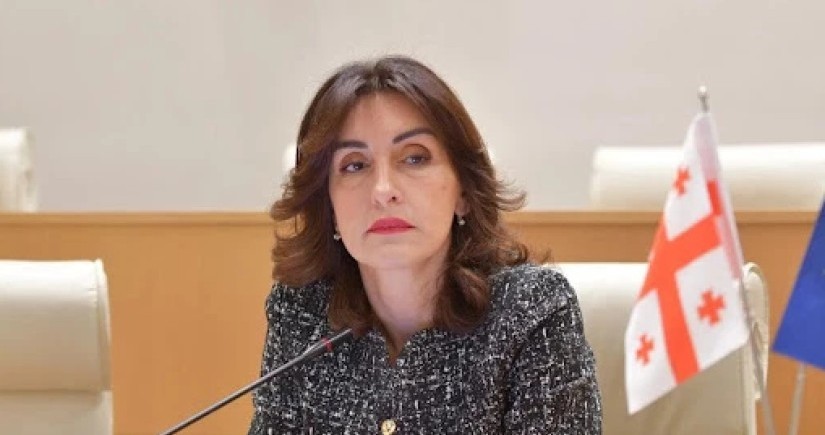 Глава МИД Грузии: Если ЕС примет решение, мы сможем продолжить отношения уже завтра
