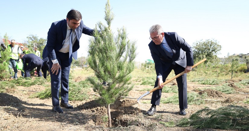 Türkiyə və Gürcüstanın Baş konsulları Gəncədə ağacəkmə aksiyasında iştirak ediblər