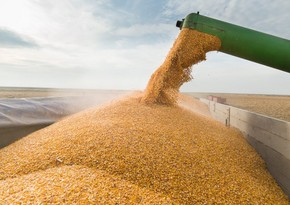 В ООН выразили надежду на продление зерновой сделки