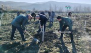 Bu gün meşə fondu torpaqlarında 35 mindən çox ağac əkilib