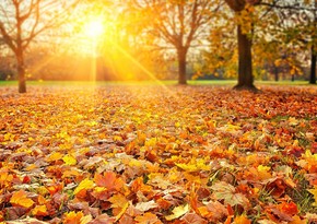 Day of onset of autumn in Azerbaijan declared