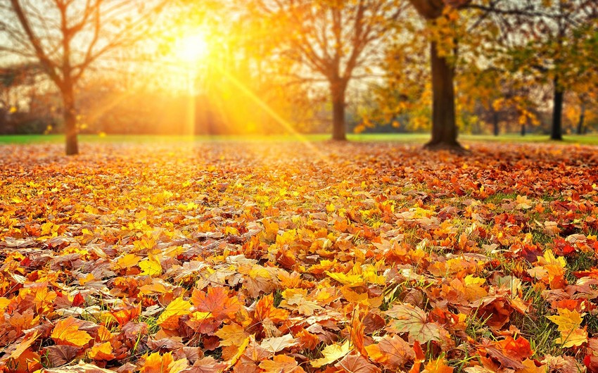 Day of onset of autumn in Azerbaijan declared